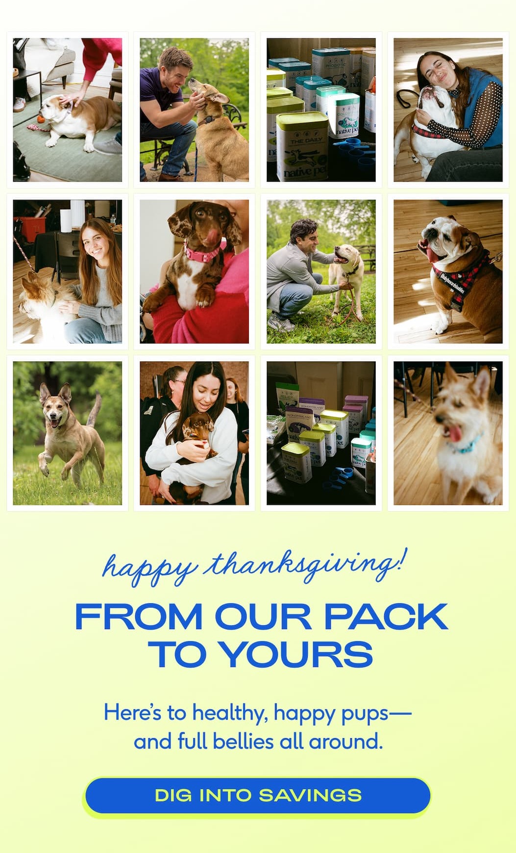 happy thanksgiving from our pack to yours