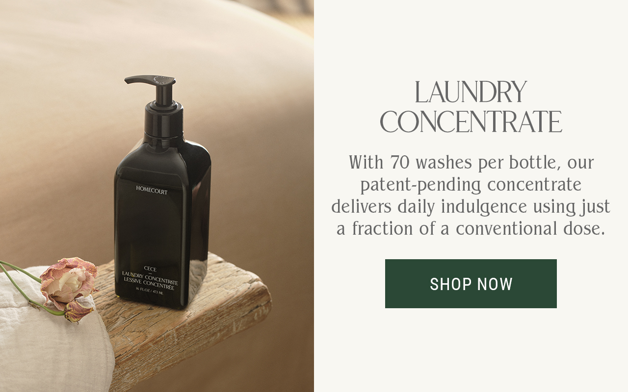 LAUNDRY CONCENTRATE