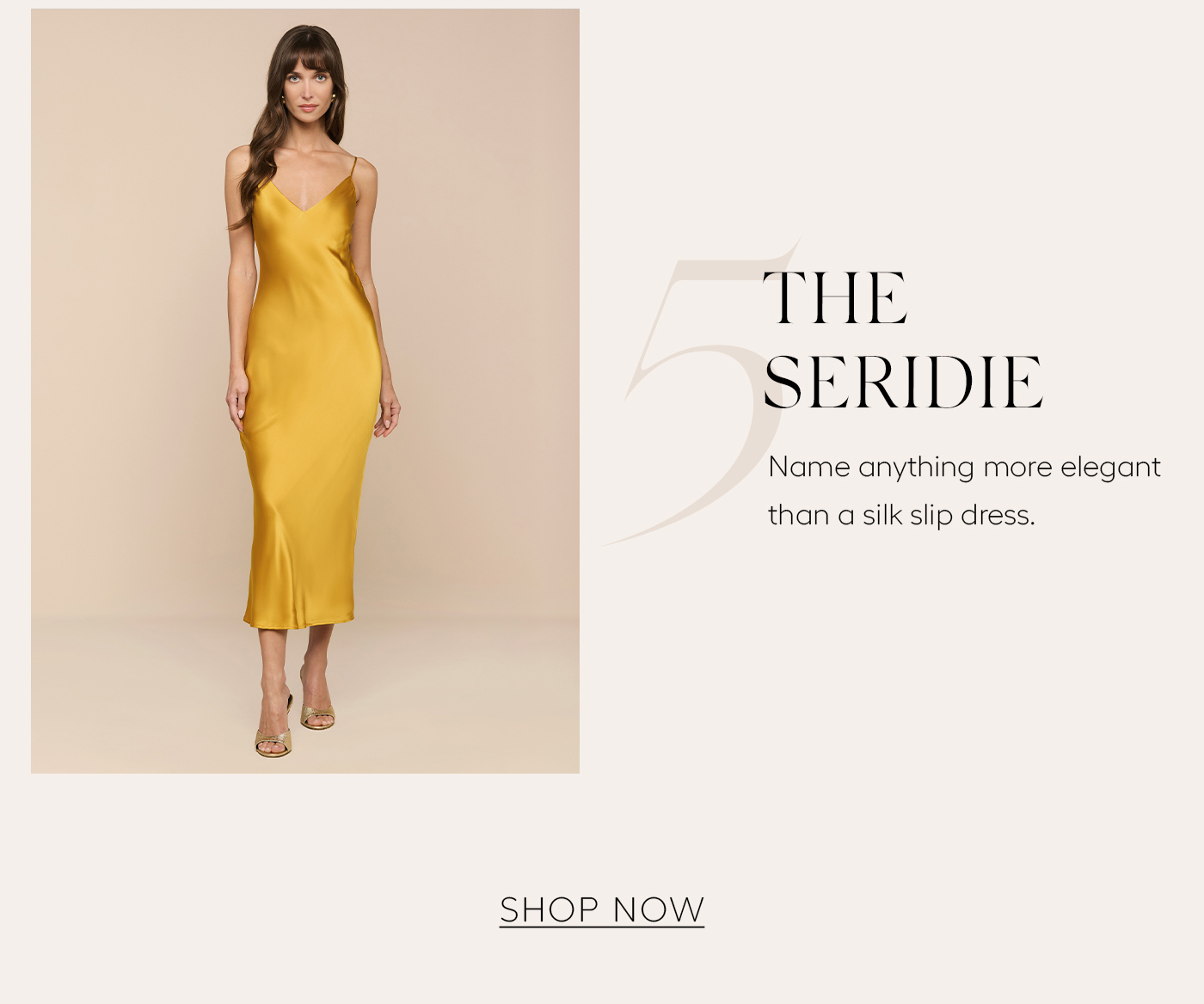 The Seridie  Name anything more elegant than a silk slip dress.