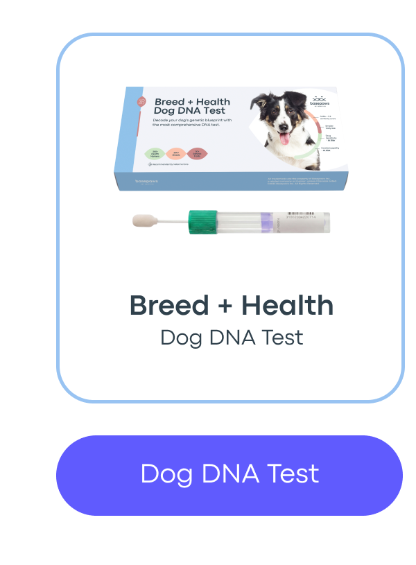 Dog DNA Test