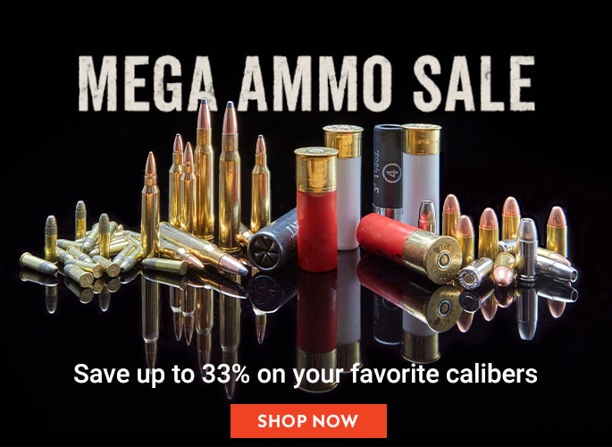 Mega Ammo Sale