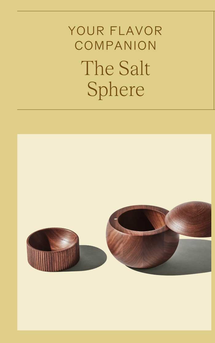 Your Flavor Companion  The Salt Sphere