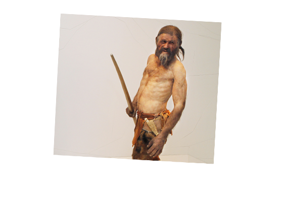 A bare-chested museum exhibit of a man holding a spear.