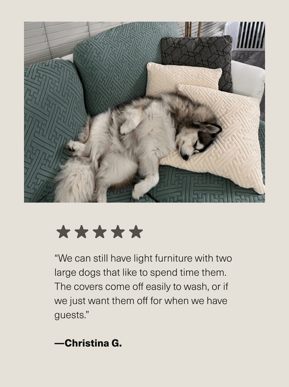 “We can still have light furniture with two large dogs that like to spend time them. The covers come off easily to wash, or if we just want them off for when we have guests.”  —Christina G.