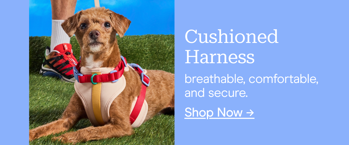 Cushioned Harness breathable, comfortable, and secure. Shop Now →