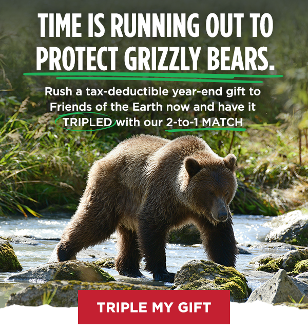 Image of bear walking on river. TIME IS RUNNING OUT TO PROTECT GRIZZLY BEARS. Rush a tax-deductible year-end gift to Friends of the Earth now and have it TRIPLED with our 2-to-1 MATCH.