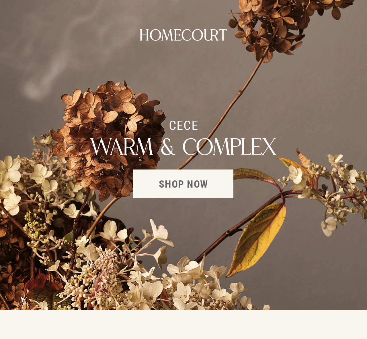 Homecourt Signature Scents: Steeped Rose: Fresh & Floral, Neroli Leaf: Citrus & Verdant, Cece: Warm & Complex, Cipres Mint: Aromatic & Herbal. Shop now.
