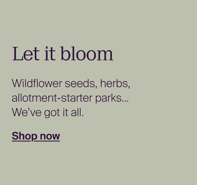 Let it bloom. Wildflower seeds, herbs, allotment-starter parks… We’ve got it all.