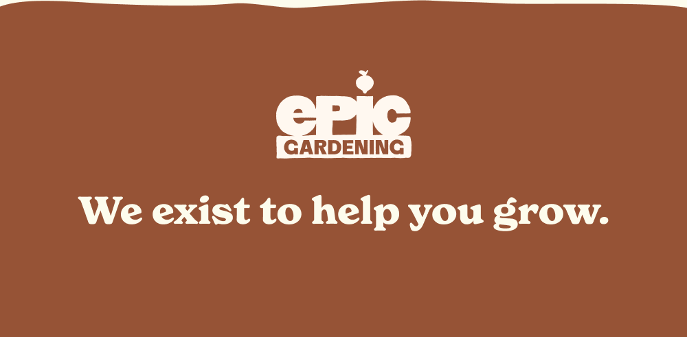 We exist to help you grow.