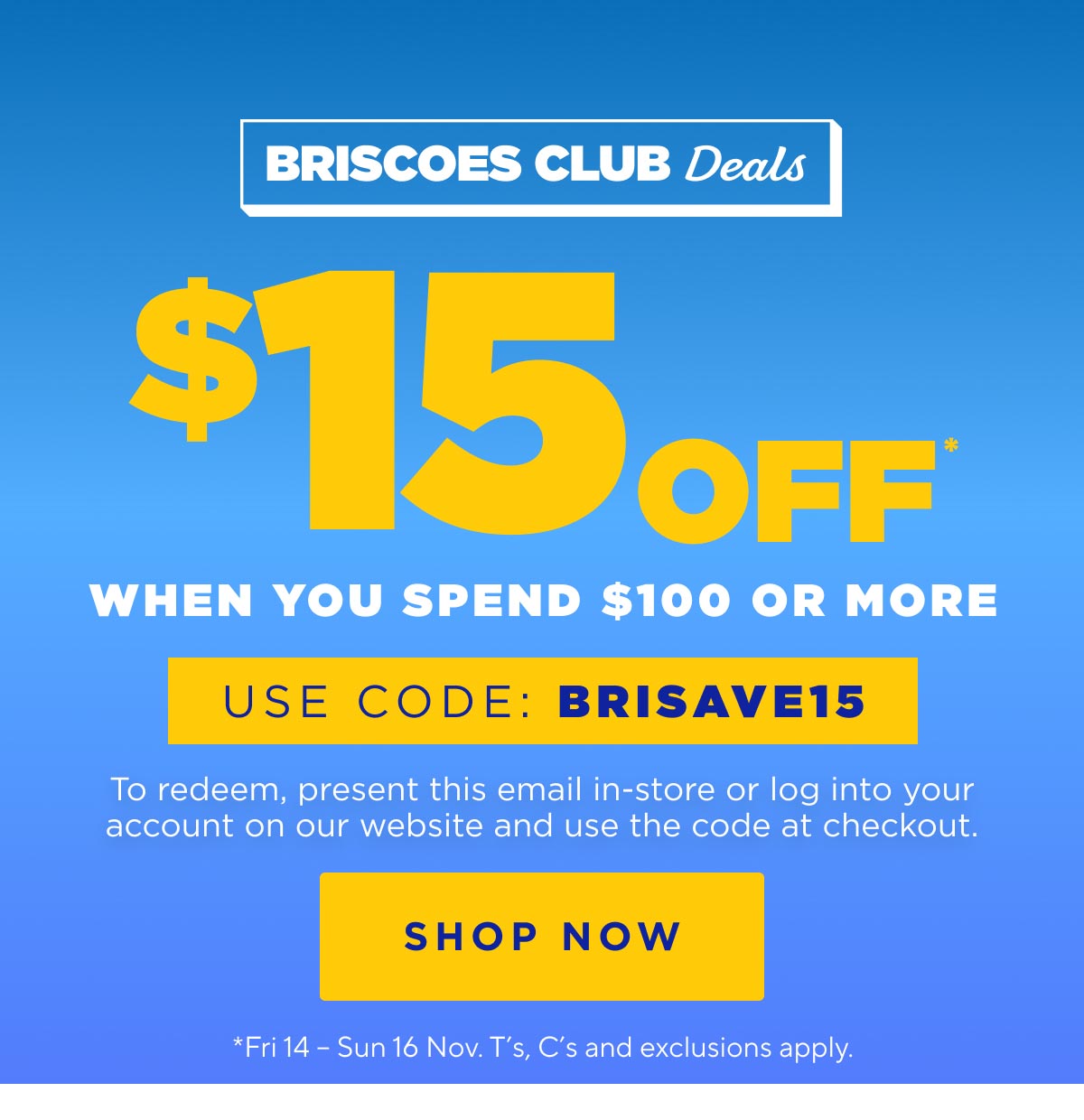 Spend $100 or More and Get 15% Off