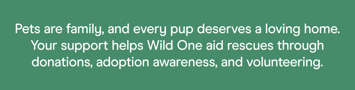 Pets are family, and every pup deserves a loving home. Your support helps Wild One aid rescues through donations, adoption awareness, and volunteering.