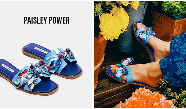 Paisley Power