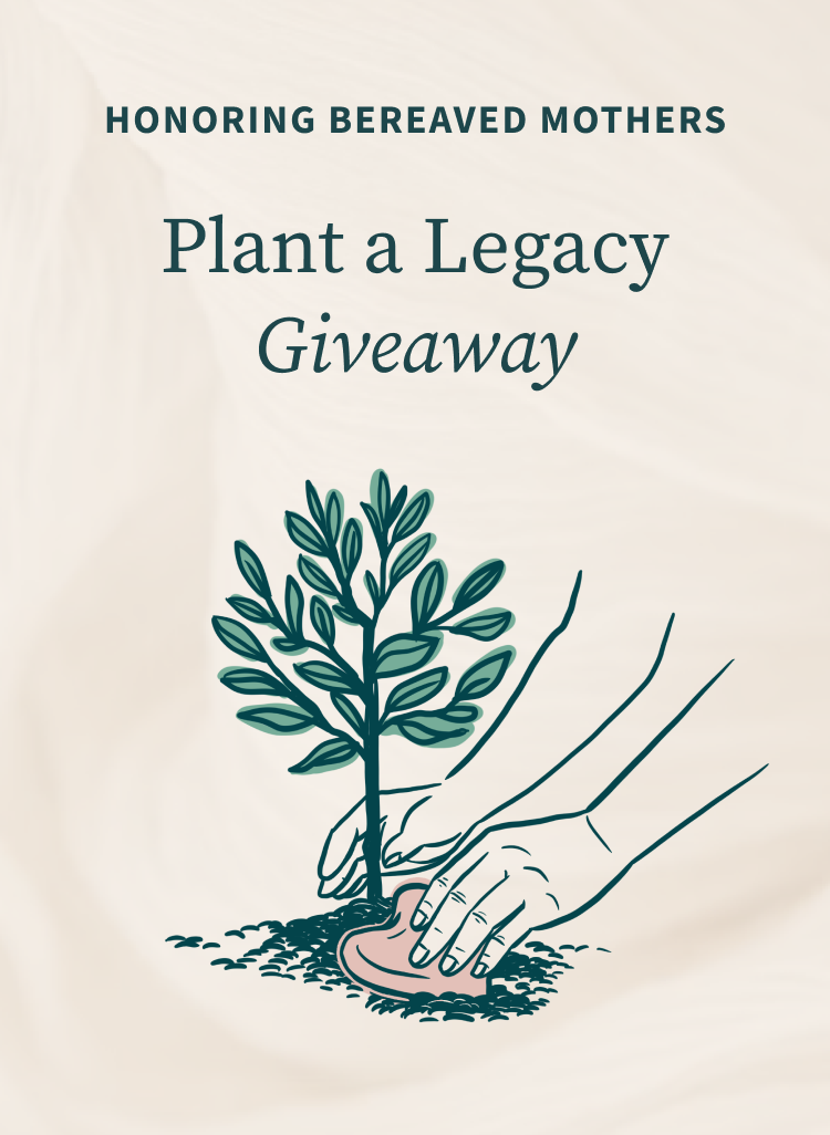 Honoring Bereaved Mothers | Plant a Legacy Giveaway