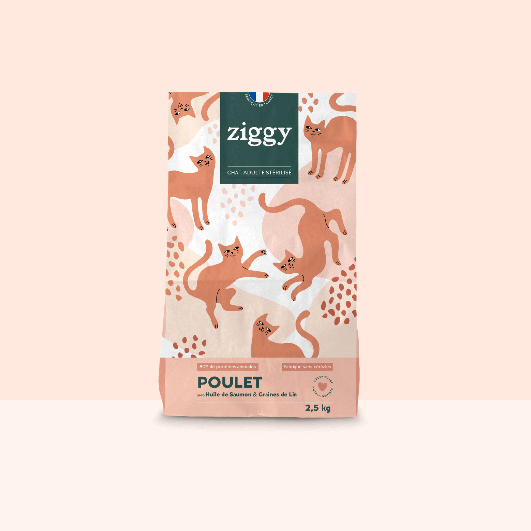 Image of Croquettes Chat Stérilisé Sans Céréales - Poulet