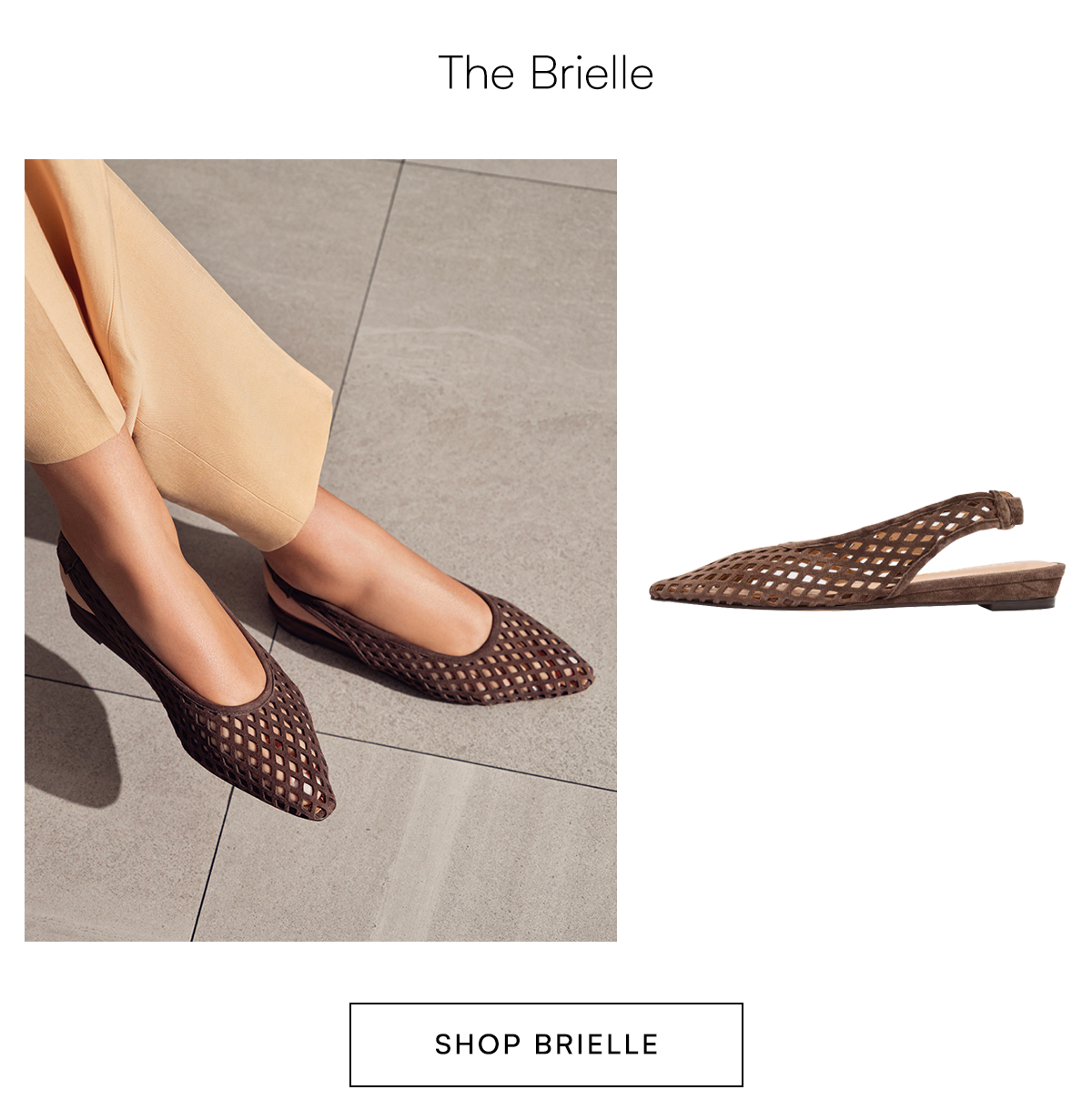 Shop Brielle