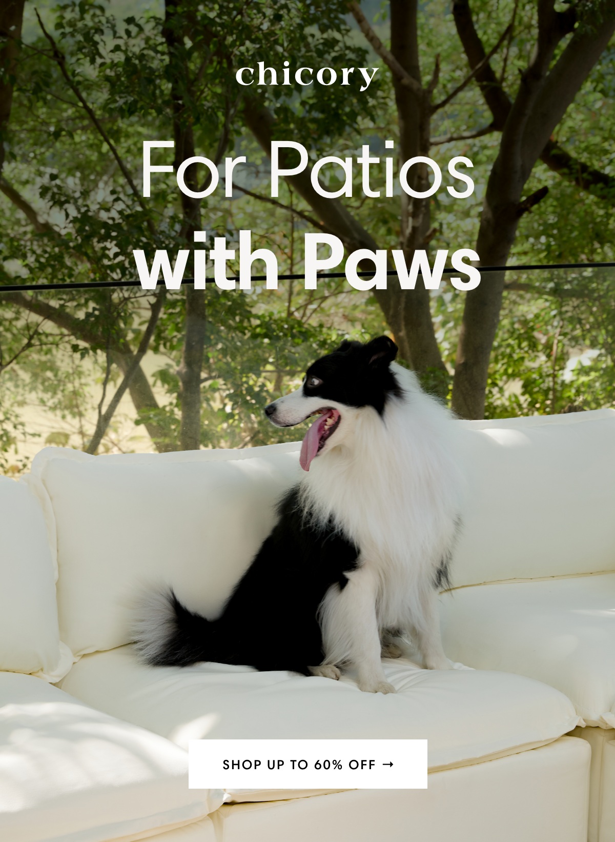For Patios with Paws
