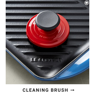 cleaning brush