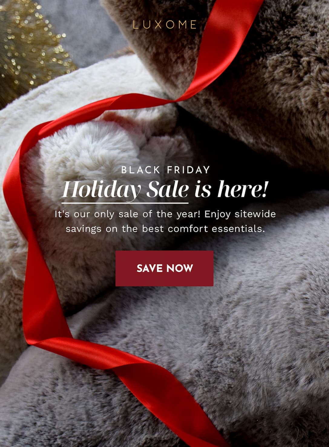 Black Friday Holiday Sale is here! | SAVE NOW