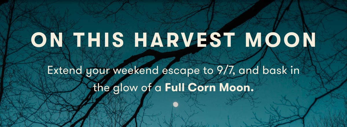 On This Harvest Moon