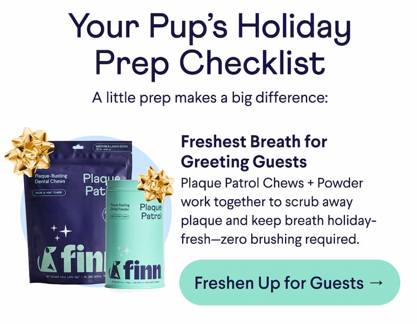 Text: Your Pup’s Holiday Prep Checklist A little prep makes a big difference: Freshest Breath for Greeting Guests Plaque Patrol Chews + Powder work together to scrub away plaque and keep breath holiday-fresh—zero brushing required. CTA: Freshen Up for Guests →