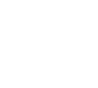 One Trick Pony Logo