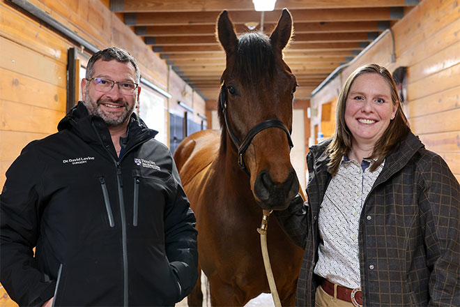 David Levine and Mary Robinson with a horse.