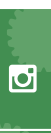 Follow Us on Instagram