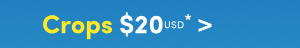 Limited Time | Online Only | Splash Deals | Crops $20USD* >