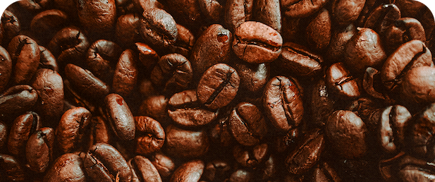 Coffee beans close-up