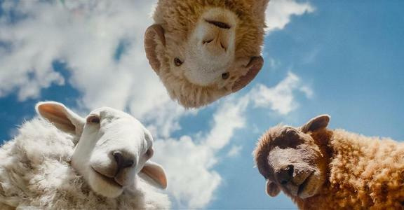 Family movies for the kids and the grown-ups this May at ODEON