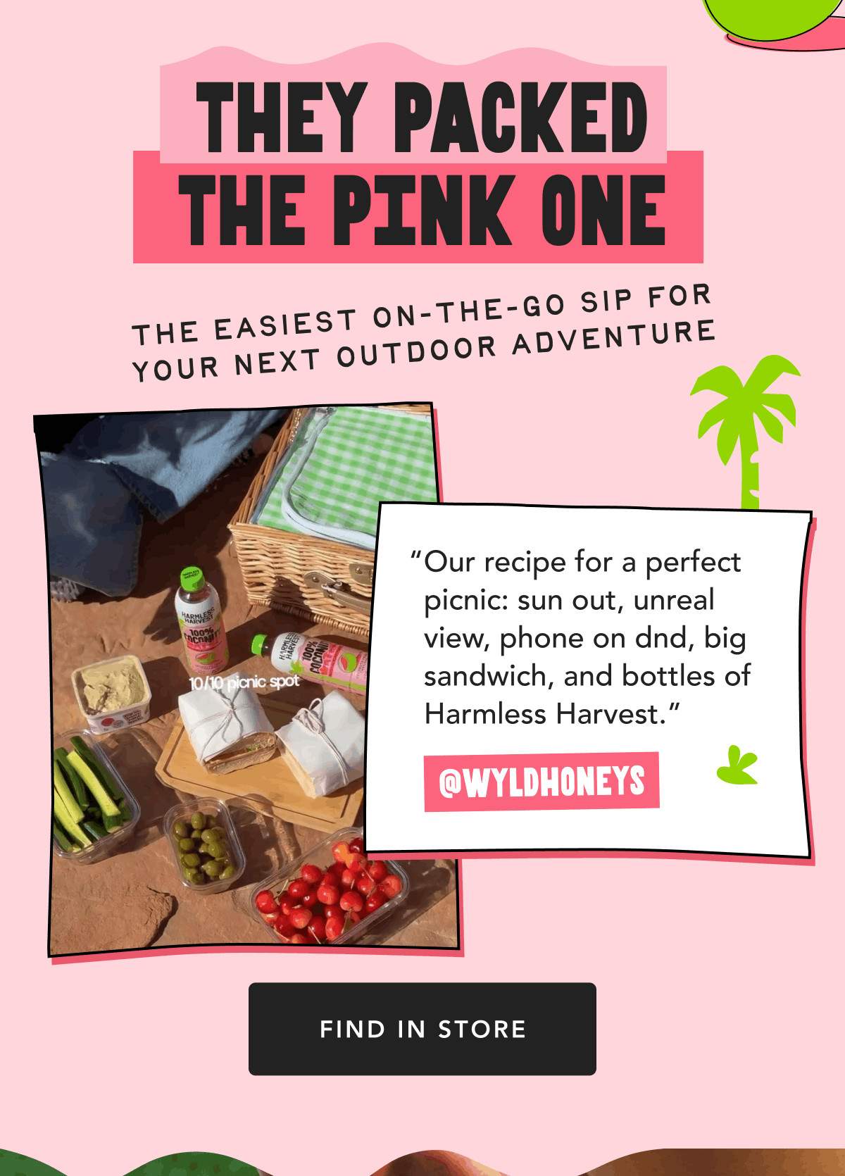 They Packed The Pink One | The Easiest On-The-Go Sip For Your Next Outdoor Adventure | "Our recipe for a perfect picnic: sun out, unreal view, phone on dnd, big sandwich, and bottles of Harmless Harvest." @wyldhoneys | Find in Store
