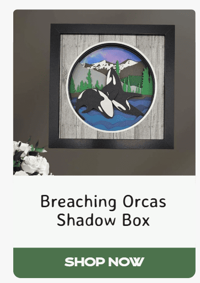 Breaching Orcas Shadow Box