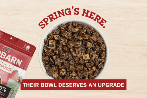 Spring's Here. Their Bowl Deserves an Upgrade