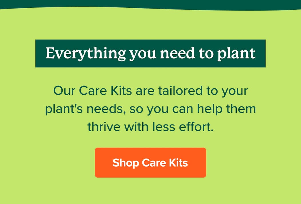 Everything you need to plant. Shop Care kits>>