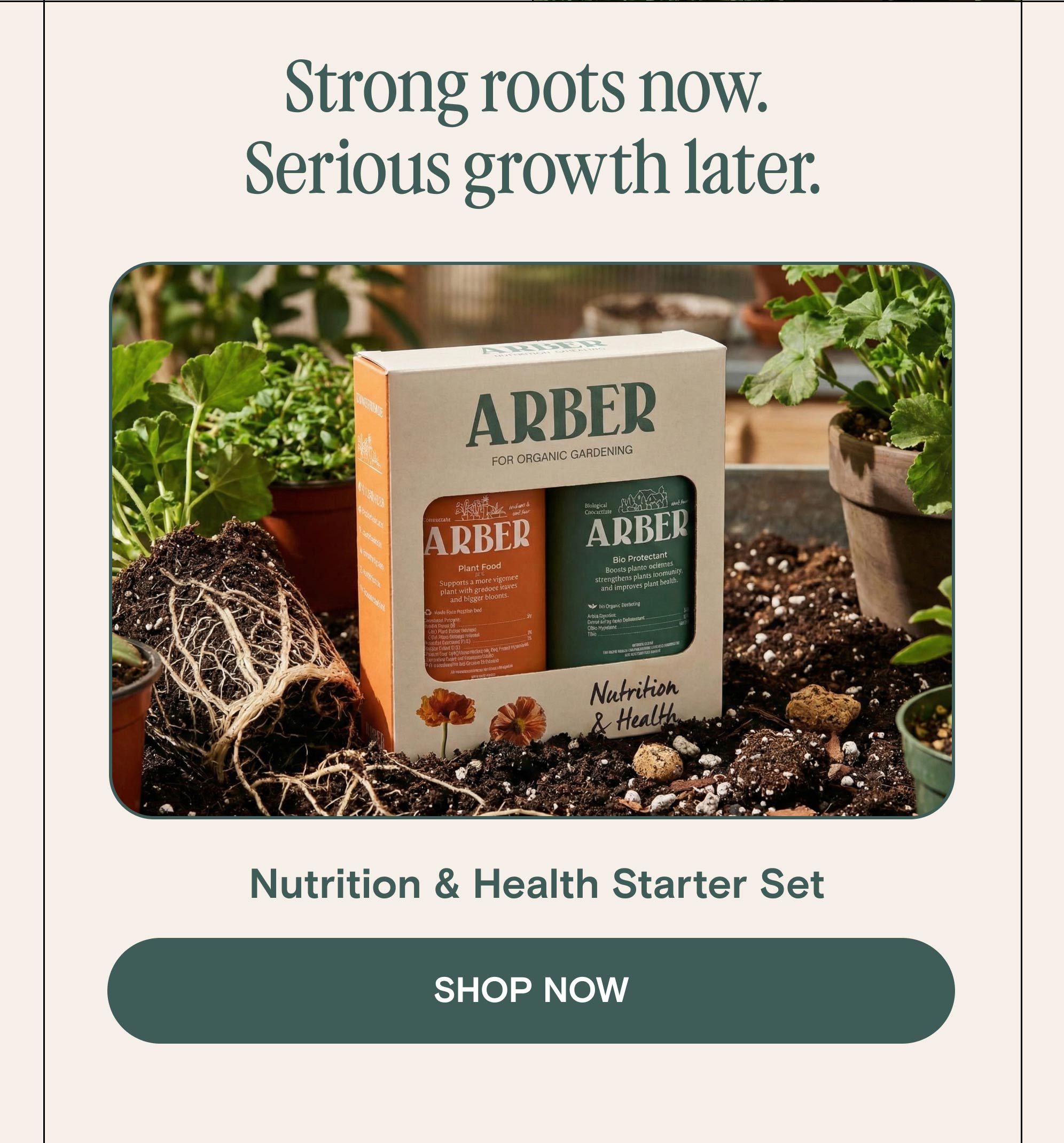 Strong roots now.  Serious growth later.