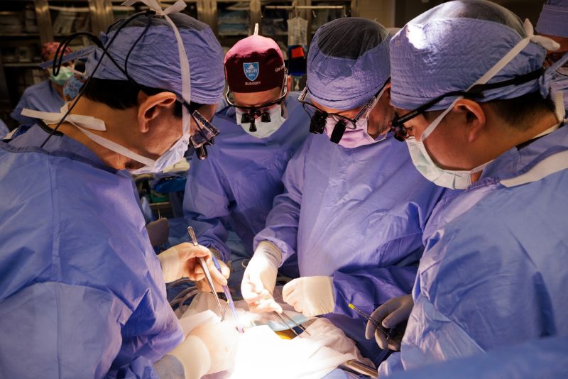 Surgeons transplanting a genetically edited pig kidney
