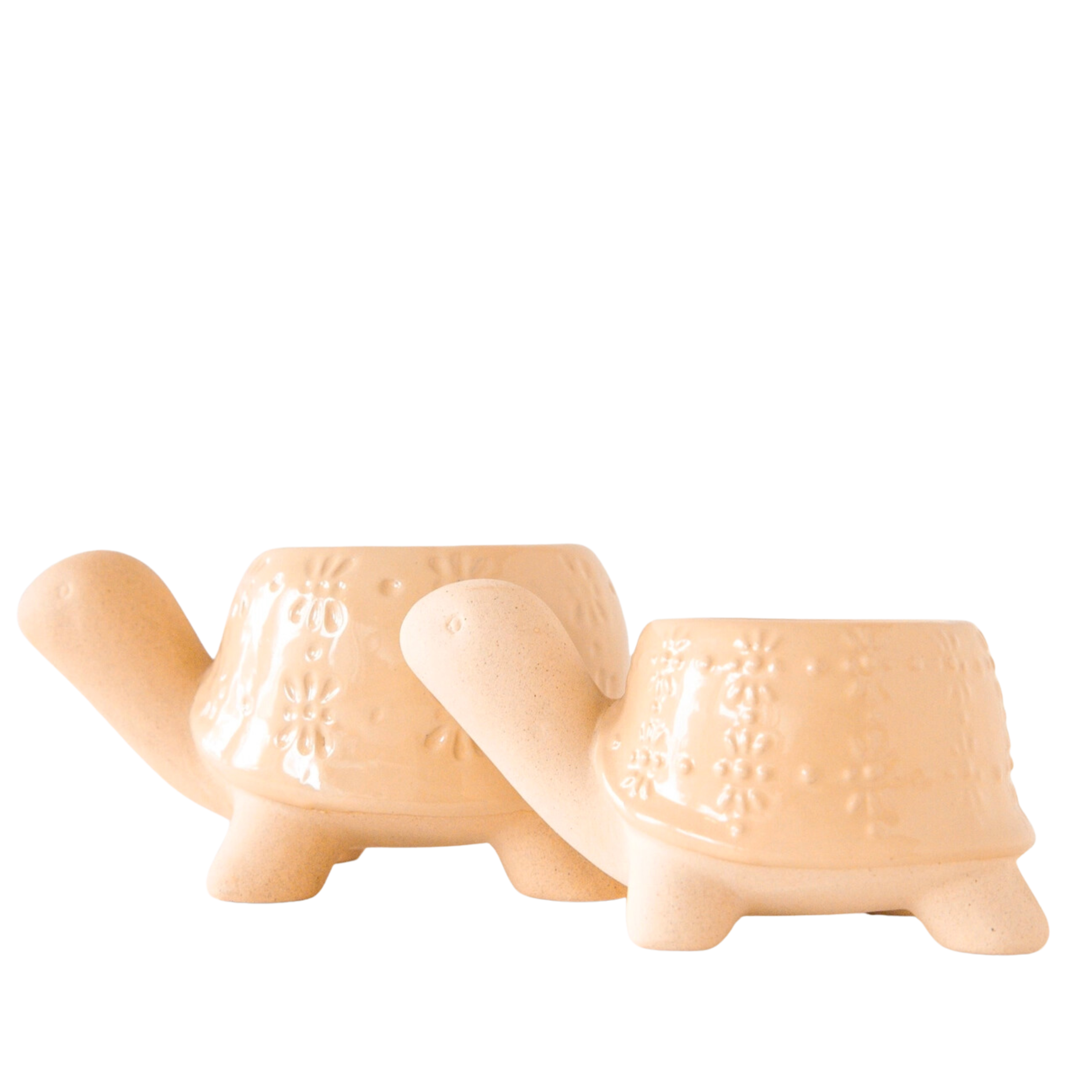 Image of Turtle Planter - Sand