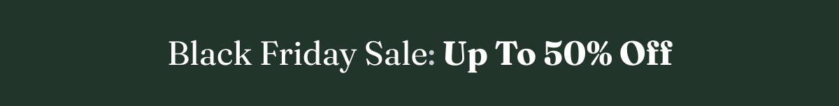 Black Friday Sale