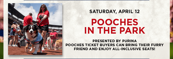 Pooches