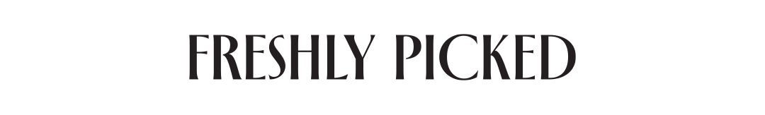 collection logo
