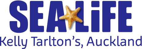 Merlin Entertainments Group