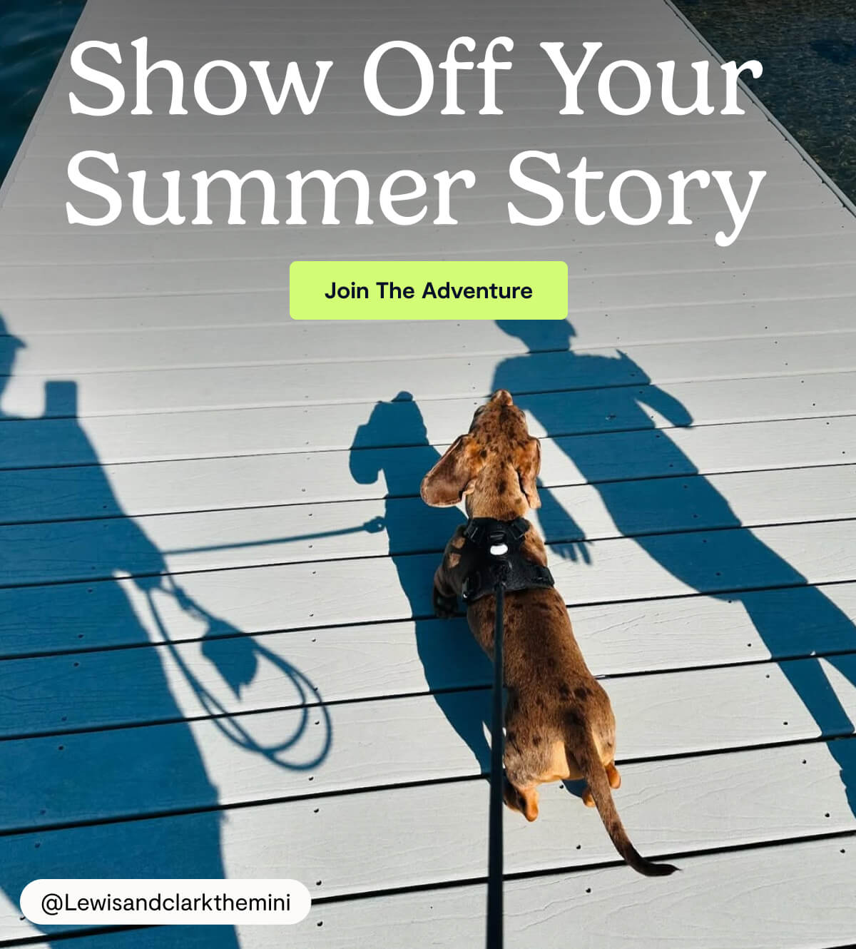 Show Off Your Summer Story