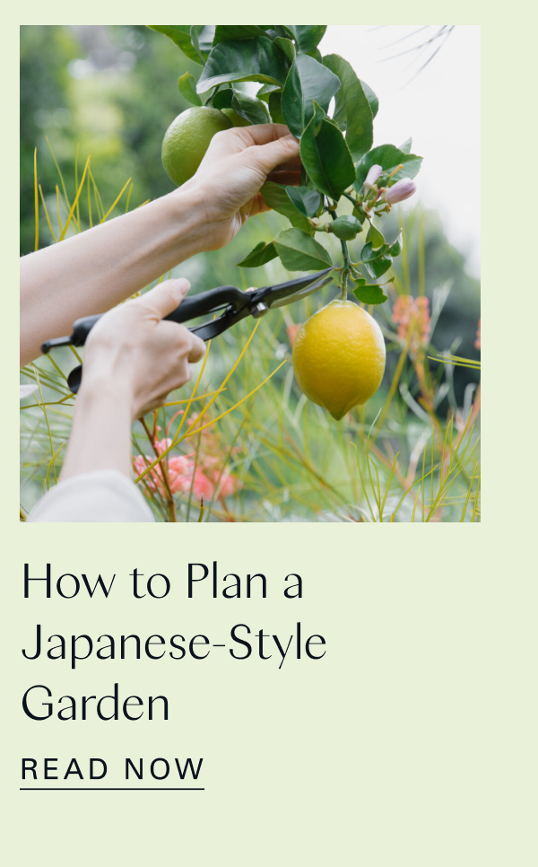 How to Plan a Japanese-Style Garden 
