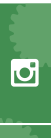Follow Us on Instagram
