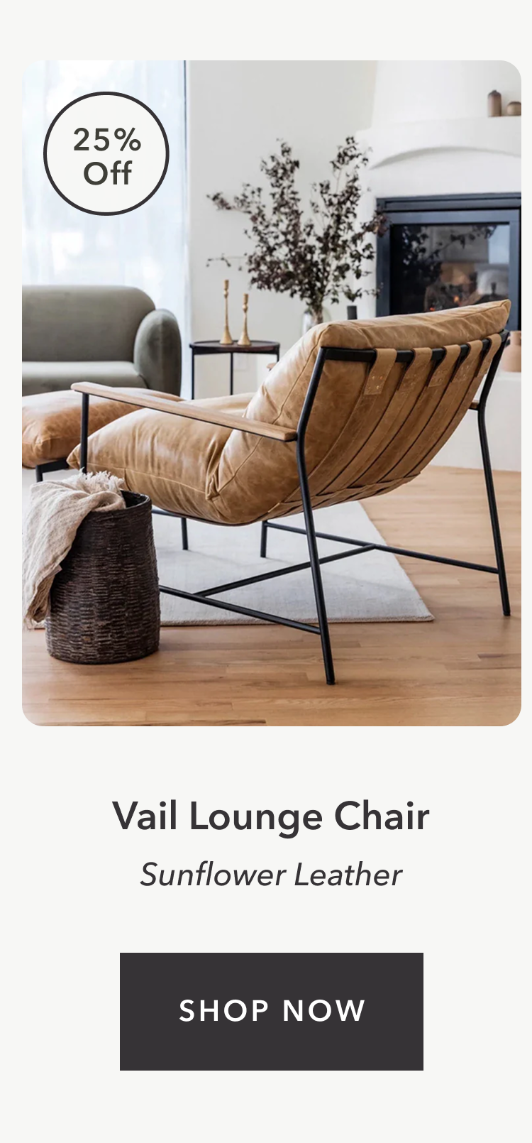 Vail Lounge Chair now 25% Off