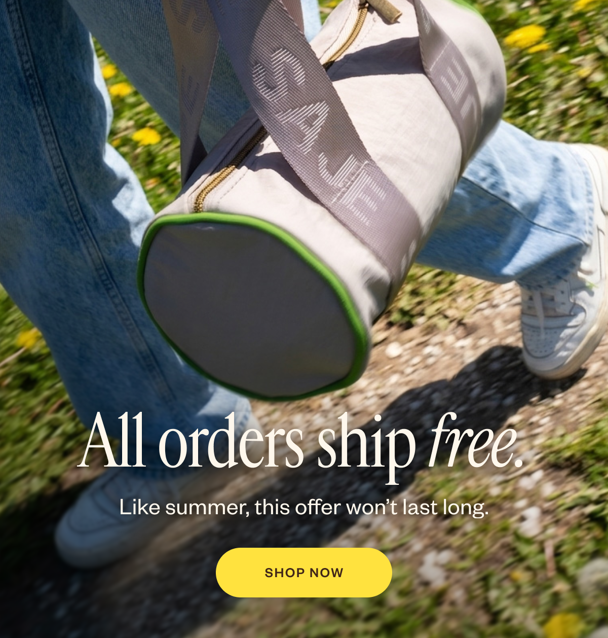 All orders ship free. 