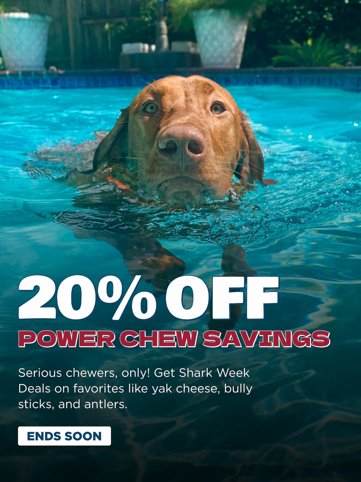20% off power chews code jaws20