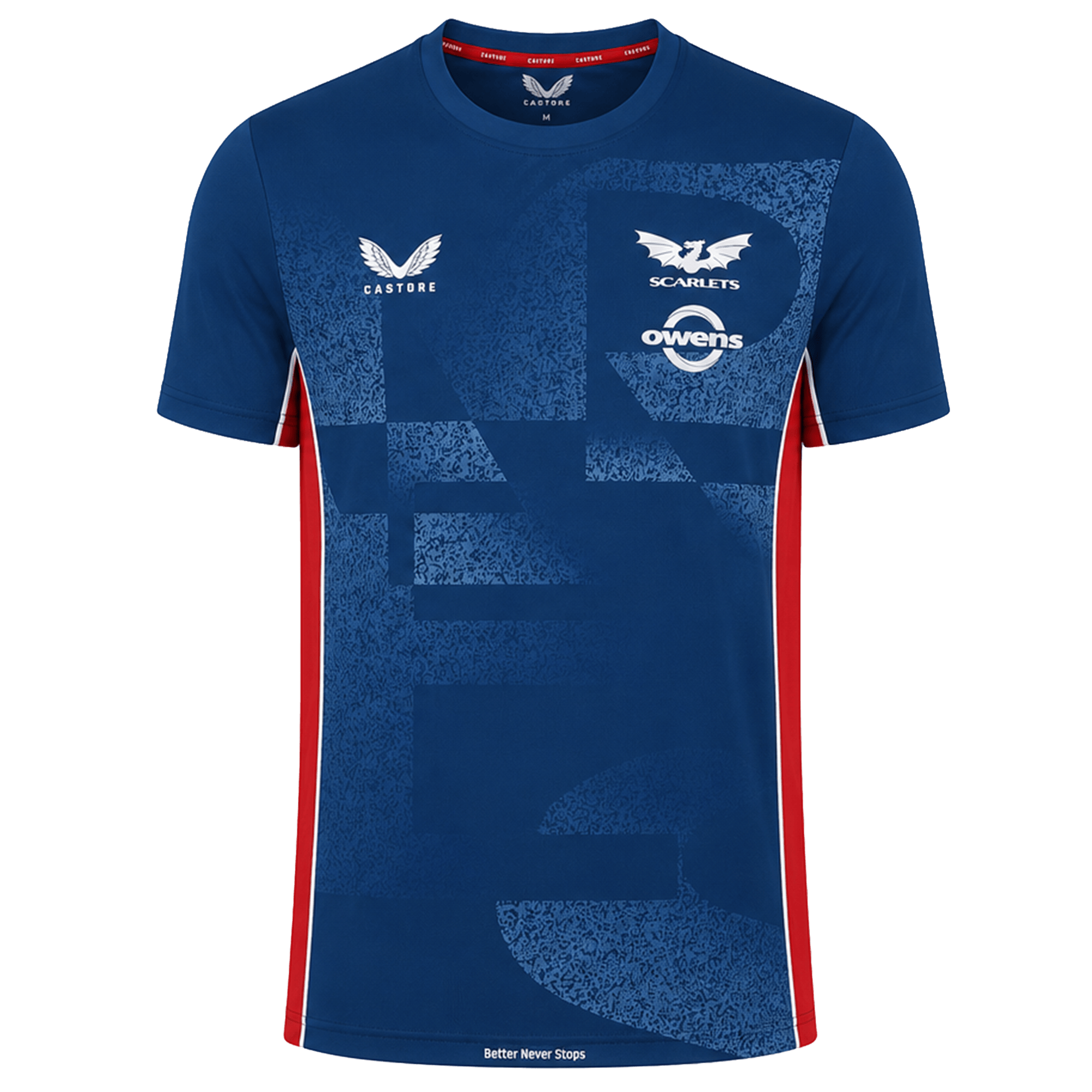 Image of Scarlets Training Tee 22/23 by Castore