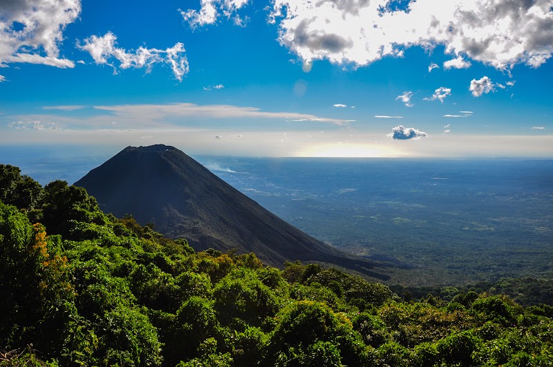 Coffee harvest in El Salvador — volcanic hillsides, hand-picked cherries