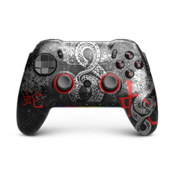 Envision Pro